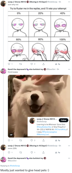 headpets.png