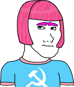 TrannyWojak2.png