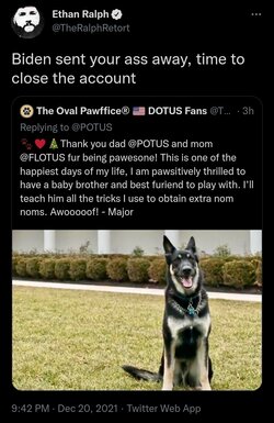 Screenshot_20211220-221915_Chrome.jpg