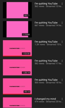 Screenshot_20211221-165315_YouTube~2.jpg