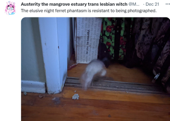 phantasm.png