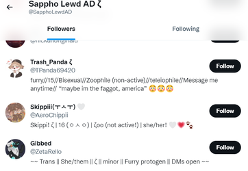 sapphoADminorsfollowing02.png