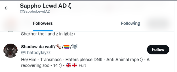 sapphoADminorsfollowing06.png