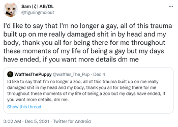 zoosbelittingminors02.png