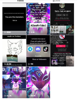 servaltiktok.png