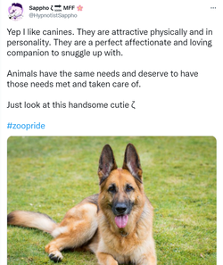 attractiontodog01.png