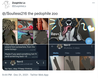 revinaglasshouse02.png