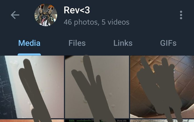 revinaglasshouse06.png