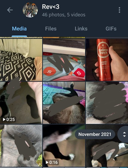 revinaglasshouse03.png