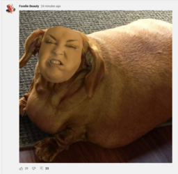Capture.PNG