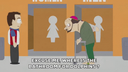 south-park-dolphin.gif