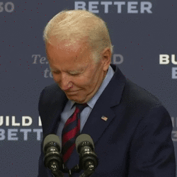 06AADE20-90D8-4B30-8095-8C315D0C6C55.gif
