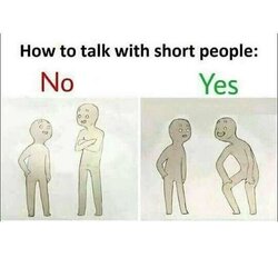 2e1.jpg