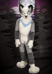 1385883915.nuzzcat_0708.jpg