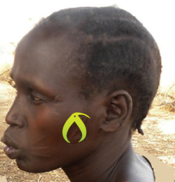 branding_by null.png