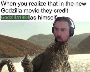 not sorry.jpg