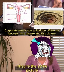 oie_SsgpjSGhEe2b.jpg