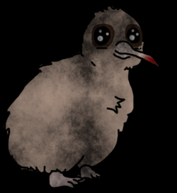 Terrorkiwi.png
