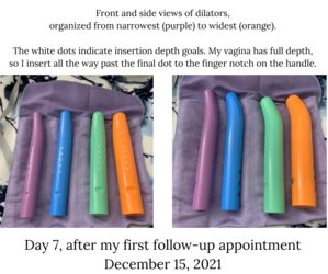 day 7 - dec 15 - dilator set.png