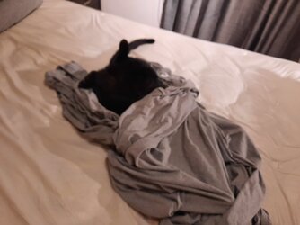 20211018_212755.jpg