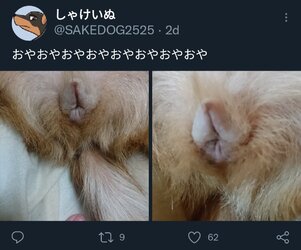 Screenshot_20220104-231935_Twitter.jpg