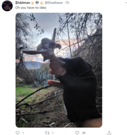 1641344057042.png
