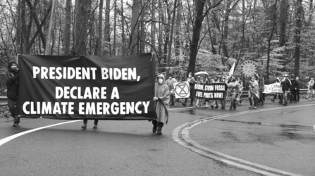 occupy.png