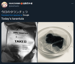 Untitled.png