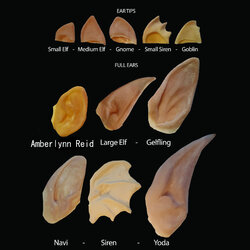 ears for nerds.jpg
