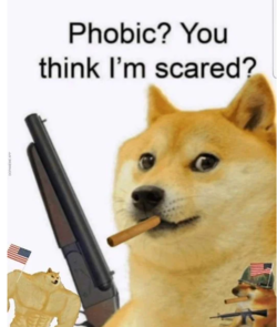 1641448197577.png