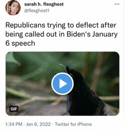 21FCD83E-BA8F-43A3-AF63-AEC11B66B460.jpeg