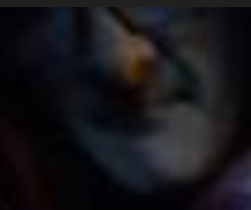 walker.png