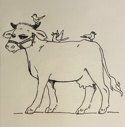 walkingthecow.jpg