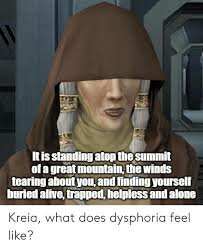 images (11).jpeg