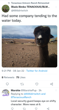 Screenshots_2022-01-09-00-39-31.png