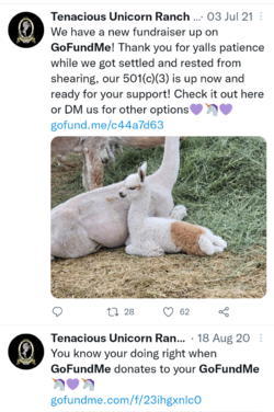 Screenshots_2022-01-09-03-39-51.png