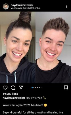 transmodel1.jpg