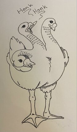 goose.jpg