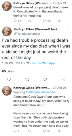 Screenshots_2022-01-11-18-35-50.png