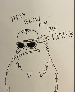 terrykiwi.jpg