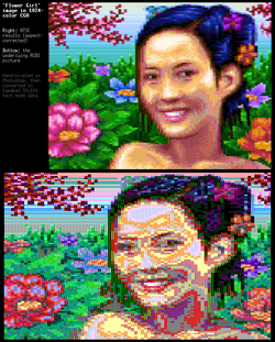 1k16_flowergirl_cga_1024_colors.png