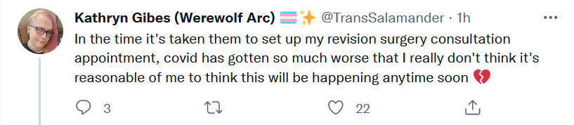 revision1.png