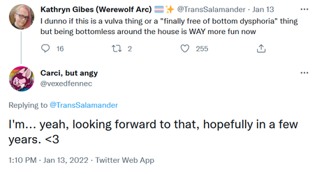 steamtroon6.png