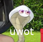 jinn.jpg