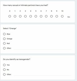 ko_tranny_questionaire_2.JPG