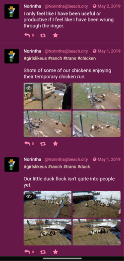 Screenshots_2022-01-17-17-09-26.png