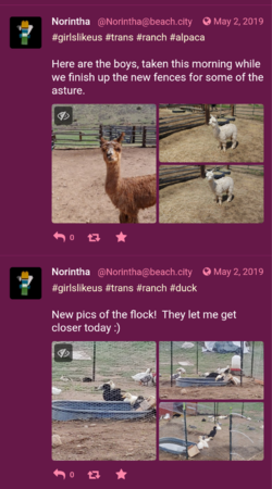 Screenshots_2022-01-17-17-08-34.png