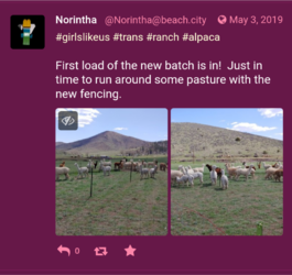 Screenshots_2022-01-17-17-08-53.png