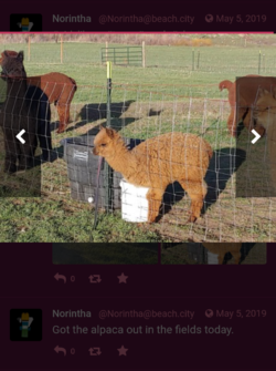 Screenshots_2022-01-17-17-07-54.png