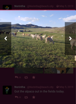 Screenshots_2022-01-17-17-07-44.png